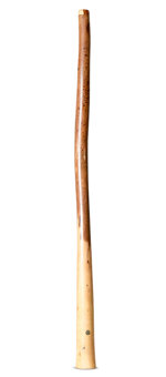 Wix Stix Didgeridoo (WS365)